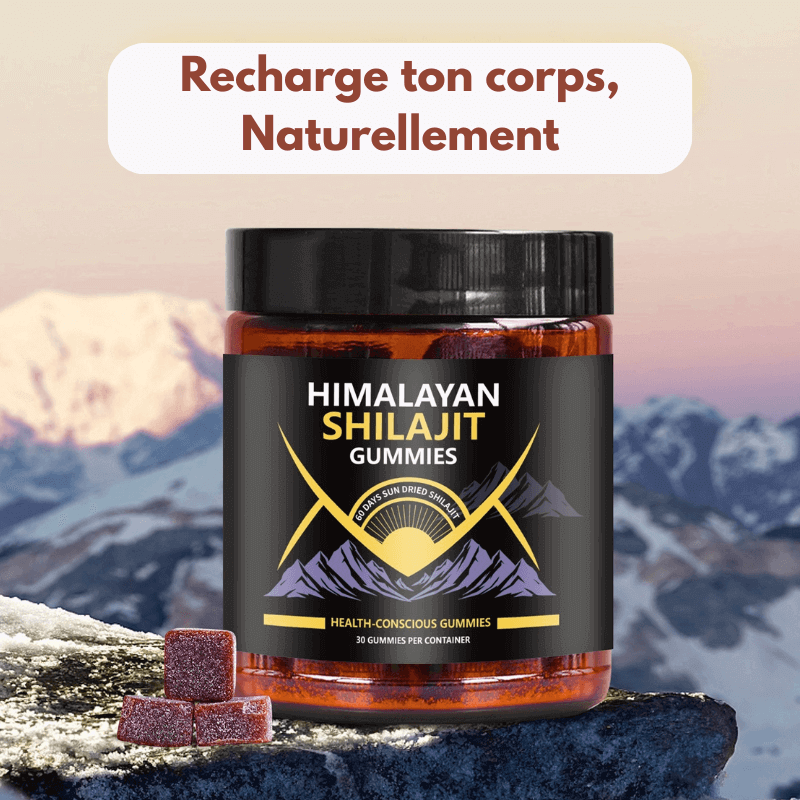 Shilajit Naturel en Gommes NG