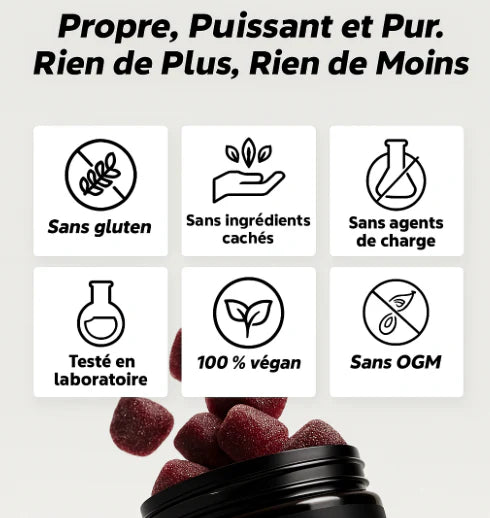 Gummies Pures De Shilajit CH