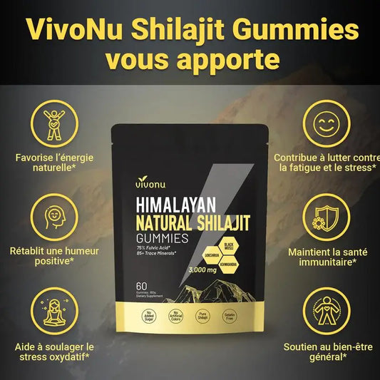 Gommes Énergétiques Shilajit de l'Himalaya BF