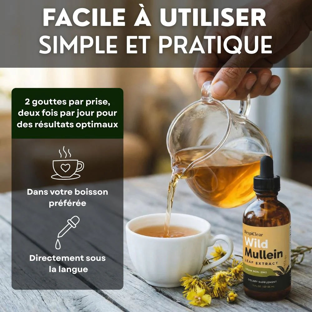Détox Poumons 3-en-1 CMD