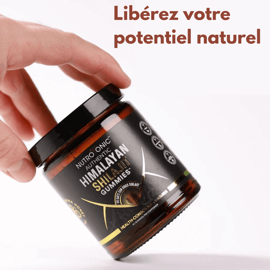Shilajit Naturel en Gommes BF