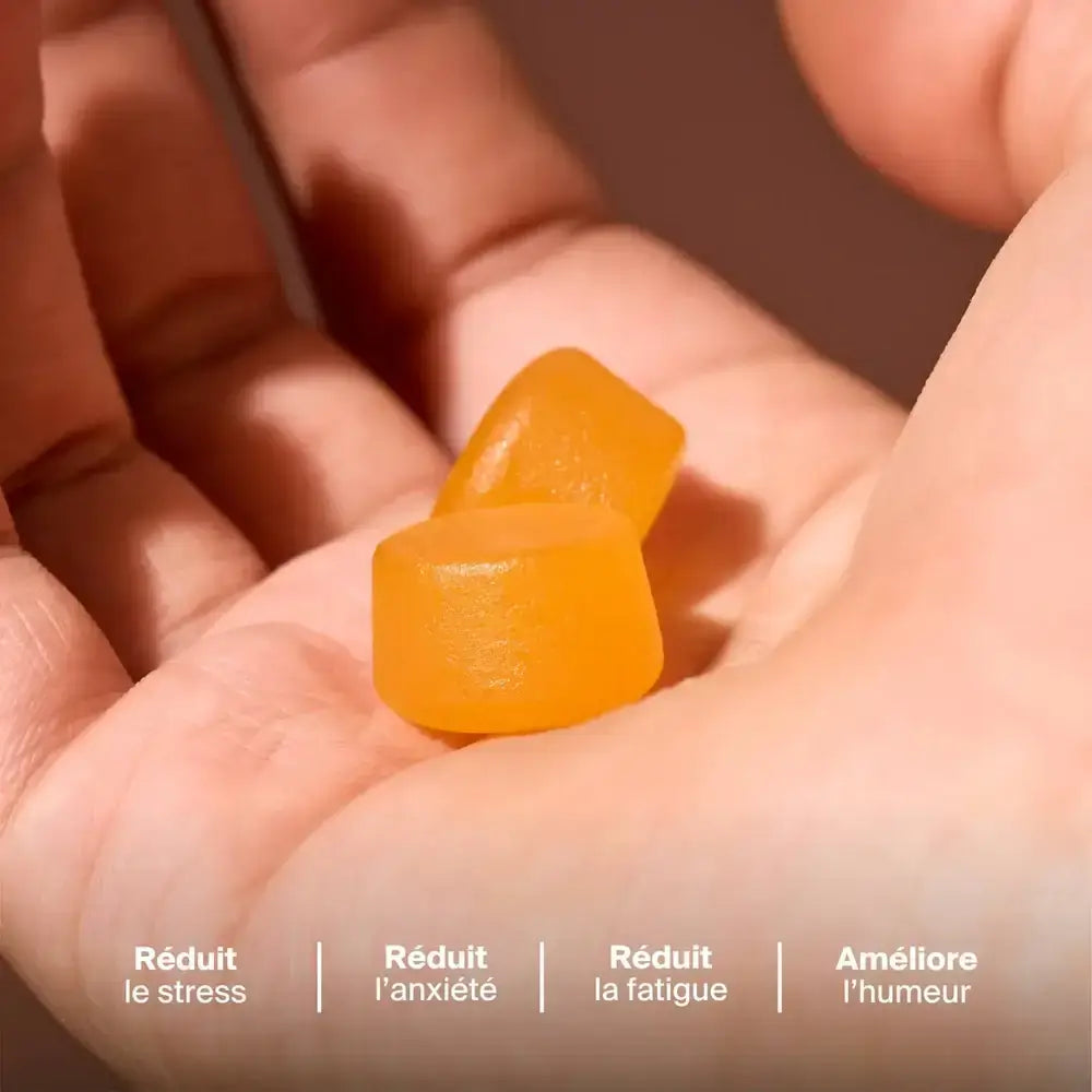 Gummies Anti-Stress Safran SN
