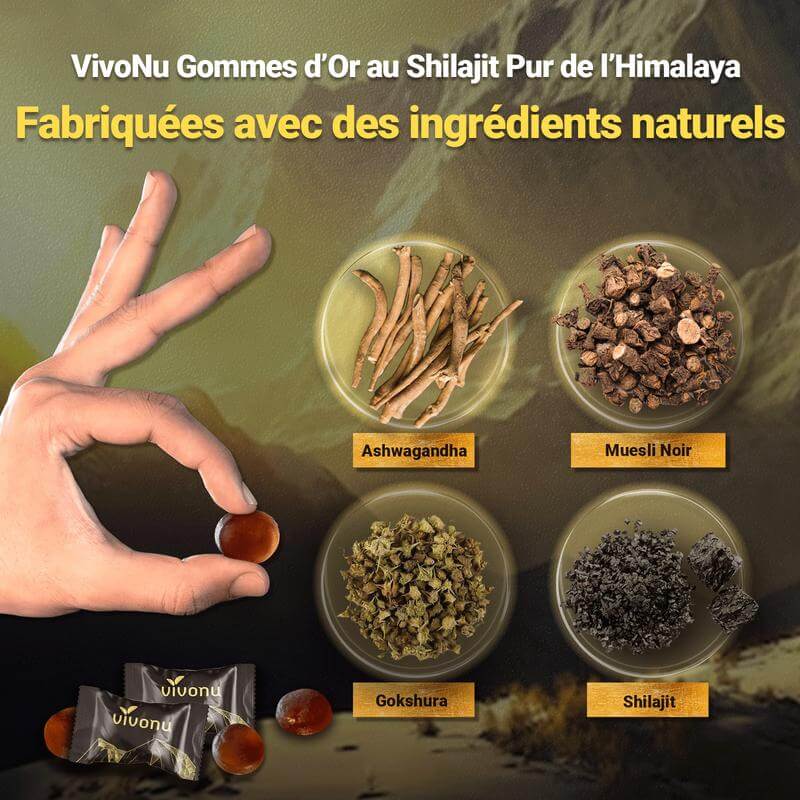 Gommes Énergétiques Shilajit de l'Himalaya CI