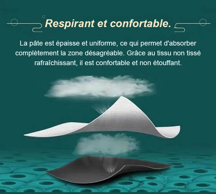 Patch de douleur à base de plantes CH
