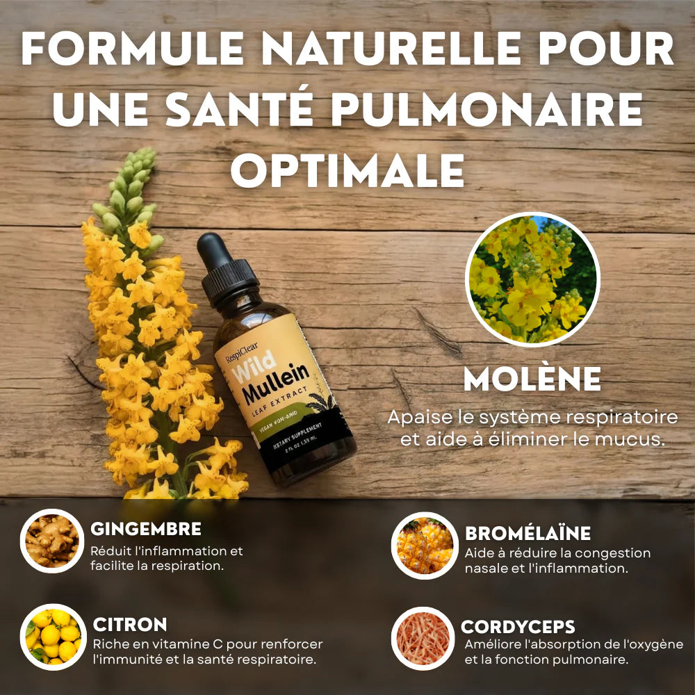 Détox Poumons 3-en-1 CMD