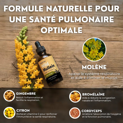 Détox Poumons 3-en-1 CMD