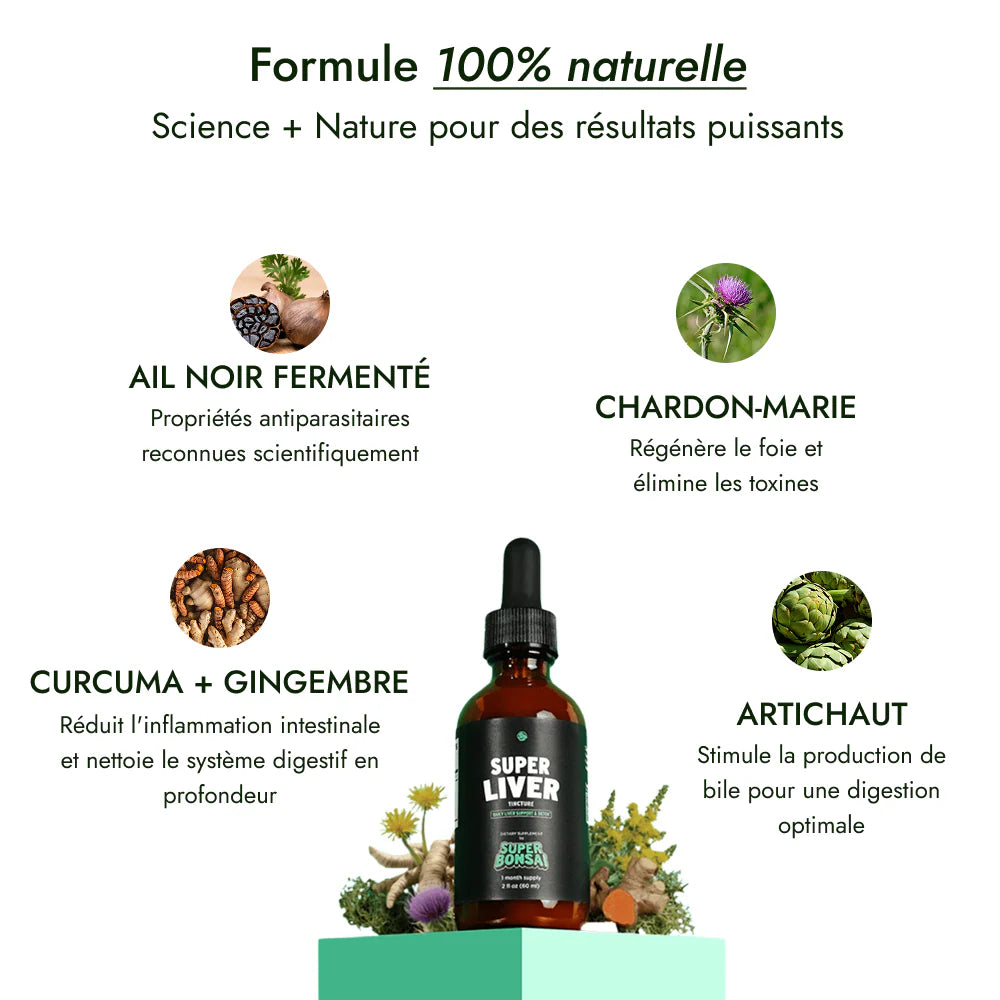Détox Naturelle Foie, Estomac & Côlon CMY
