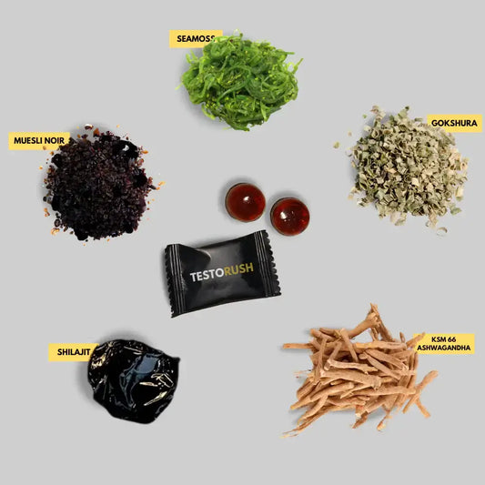 Gommes Shilajit de l’Himalaya BF