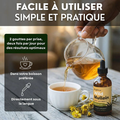 Détox Poumons 3-en-1 CMD