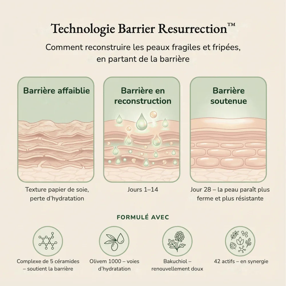 Crème Corps Raffermissante BF