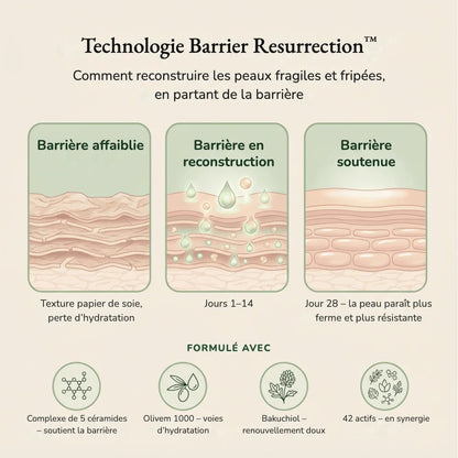 Crème Corps Raffermissante BF
