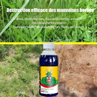 Herbicide Mauvaises Herbes CI