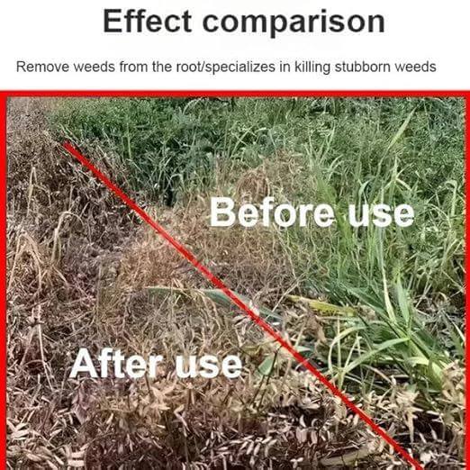 Herbicide Mauvaises Herbes CI