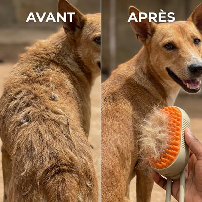 SPAZZOLA CANE CI